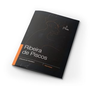 Brochuras de Sítio de arte Rupestre: Ribeira de Piscos