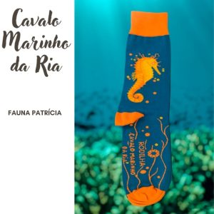 Meias Cavalo Marinho