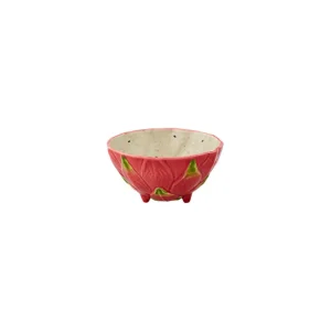 Tigela Pitaia – Frutos Tropicais