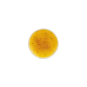 Prato Sobremesa Maracujá – Frutos Tropicais
